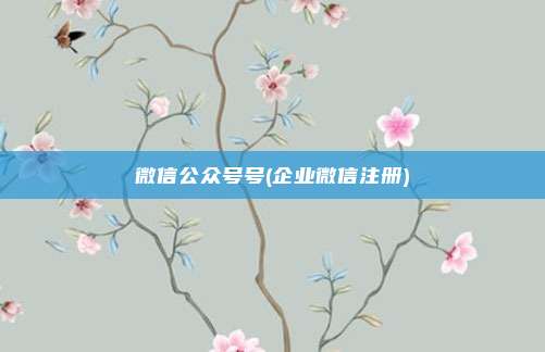 微信公众号号(企业微信注册)