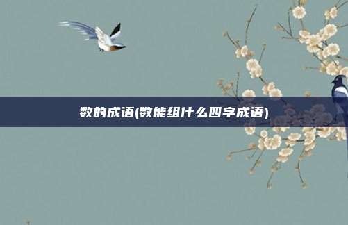 数的成语(数能组什么四字成语)