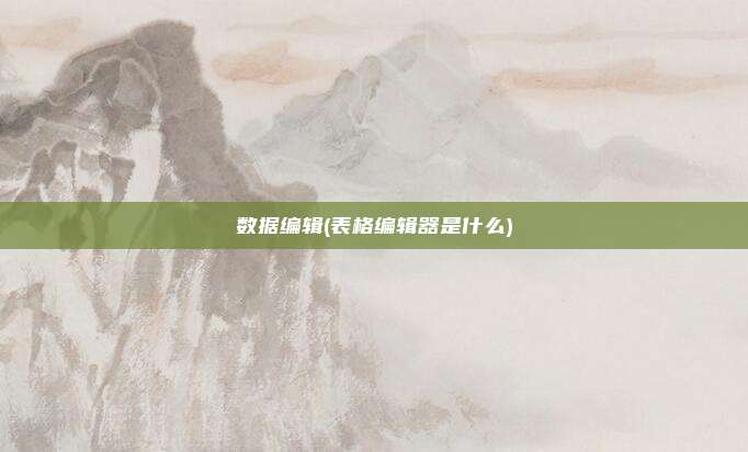 数据编辑(表格编辑器是什么)