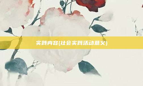 实践内容(社会实践活动意义)