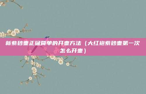新紫砂壶正确简单的开壶方法（大红袍紫砂壶第一次怎么开壶）