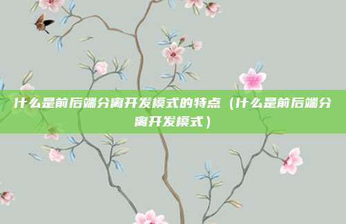 什么是前后端分离开发模式的特点（什么是前后端分离开发模式）