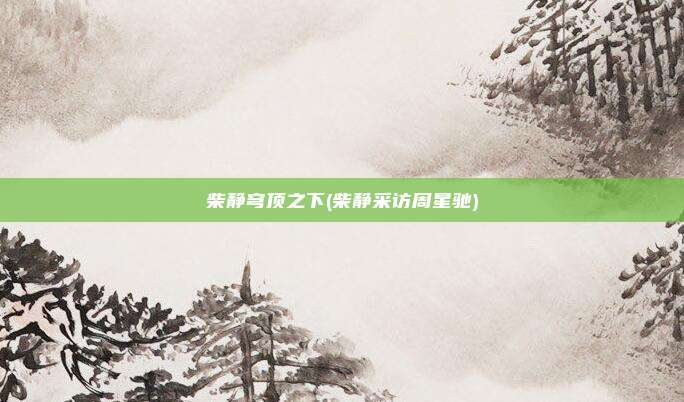 柴静穹顶之下(柴静采访周星驰)