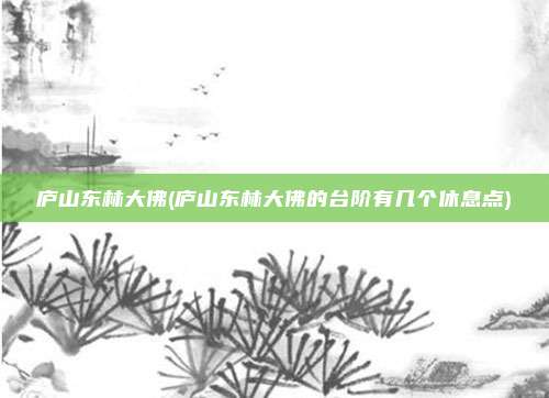 庐山东林大佛(庐山东林大佛的台阶有几个休息点)