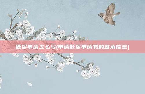 低保申请怎么写(申请低保申请书的基本信息)