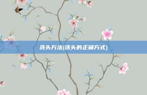 洗头方法(洗头的正确方式)