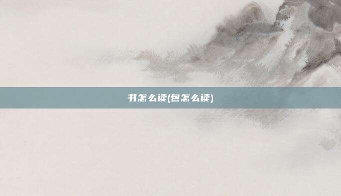 书怎么读(包怎么读)