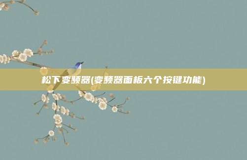 松下变频器(变频器面板六个按键功能)