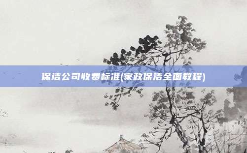 保洁公司收费标准(家政保洁全面教程)
