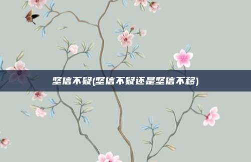 坚信不疑(坚信不疑还是坚信不移)