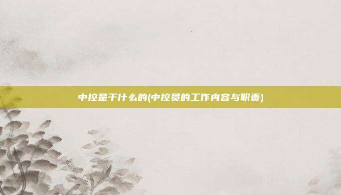 中控是干什么的(中控员的工作内容与职责)