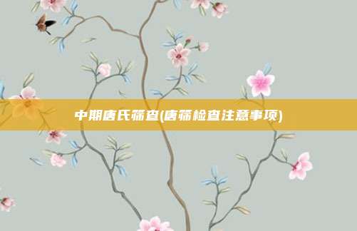 中期唐氏筛查(唐筛检查注意事项)