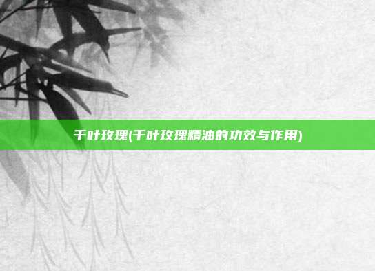 千叶玫瑰(千叶玫瑰精油的功效与作用)