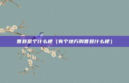 曹县是个什么梗（有个地方叫曹县什么梗）