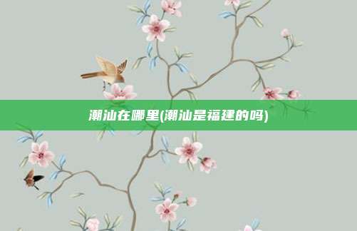 潮汕在哪里(潮汕是福建的吗)