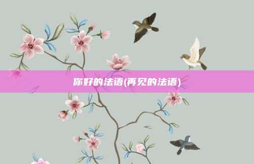 你好的法语(再见的法语)
