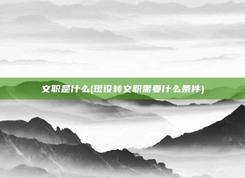 文职是什么(现役转文职需要什么条件)