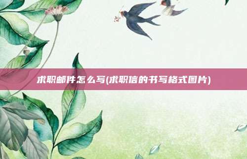 求职邮件怎么写(求职信的书写格式图片)