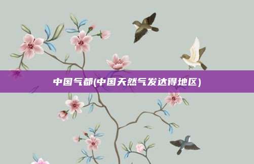 中国气都(中国天然气发达得地区)