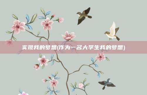 实现我的梦想(作为一名大学生我的梦想)