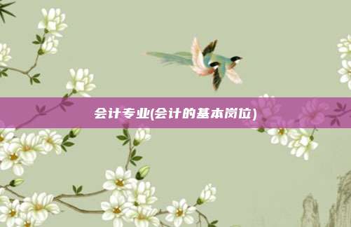会计专业(会计的基本岗位)