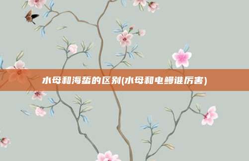 水母和海蜇的区别(水母和电鳗谁厉害)
