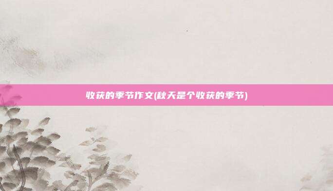 收获的季节作文(秋天是个收获的季节)