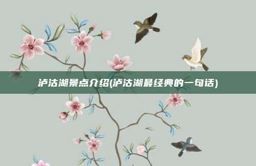 泸沽湖景点介绍(泸沽湖最经典的一句话)
