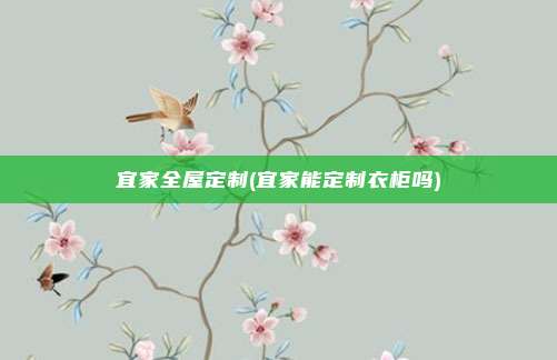 宜家全屋定制(宜家能定制衣柜吗)