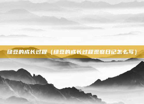 绿豆的成长过程(绿豆的成长过程观察日记怎么写)