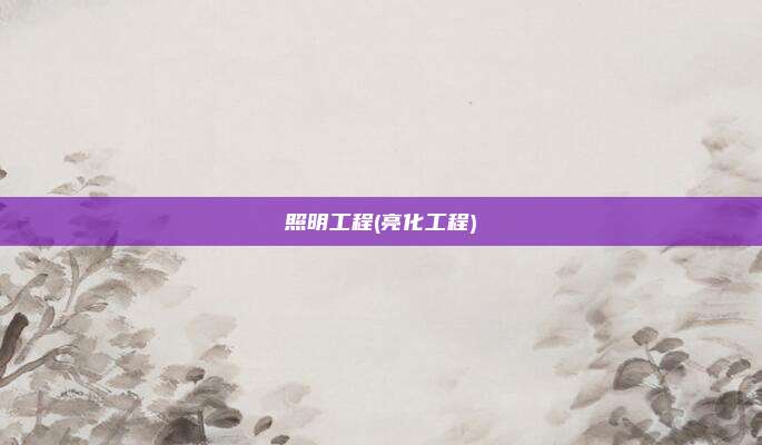照明工程(亮化工程)