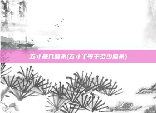 五寸是几厘米(五寸半等于多少厘米)