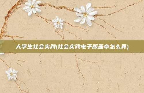大学生社会实践(社会实践电子版盖章怎么弄)