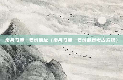 秦兵马俑一号坑遗址（秦兵马俑一号坑最新考古发现）