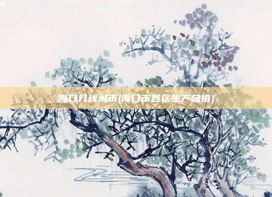 海口几线城市(海口市各区生产总值)
