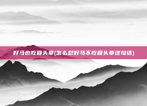 好马也吃回头草(怎么怼好马不吃回头草这句话)