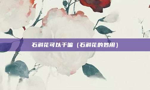 石斛花可以干嘛(石斛花的妙用)