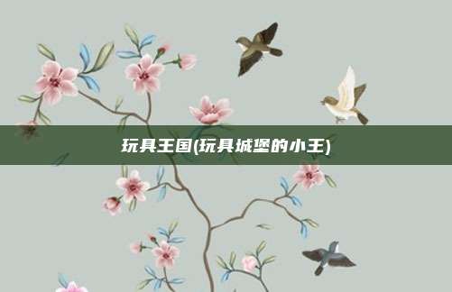 玩具王国(玩具城堡的小王)