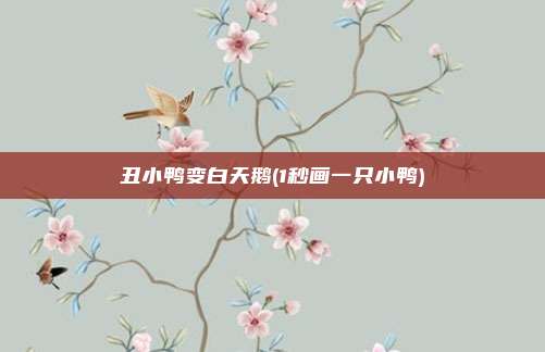 丑小鸭变白天鹅(1秒画一只小鸭)