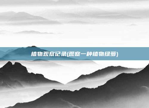 植物观察记录(观察一种植物绿萝)