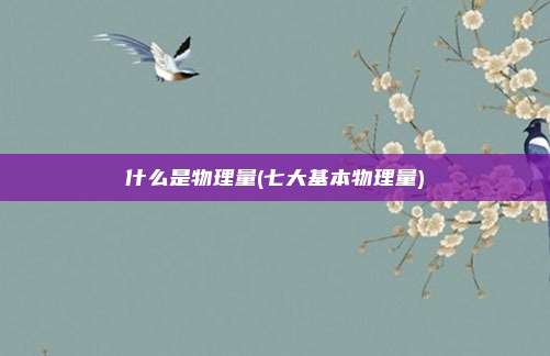 什么是物理量(七大基本物理量)