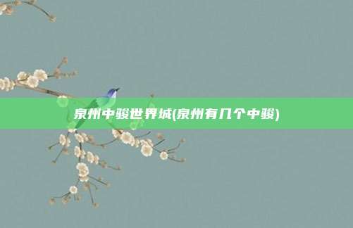 泉州中骏世界城(泉州有几个中骏)