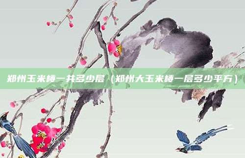 郑州玉米楼一共多少层(郑州大玉米楼一层多少平方)