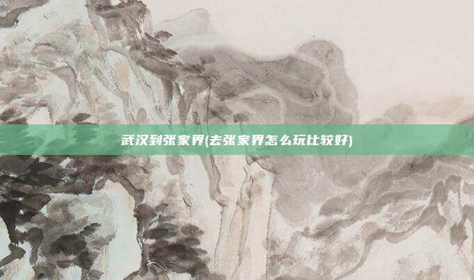 武汉到张家界(去张家界怎么玩比较好)