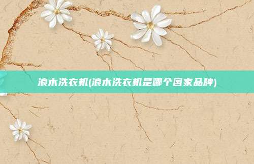 浪木洗衣机(浪木洗衣机是哪个国家品牌)