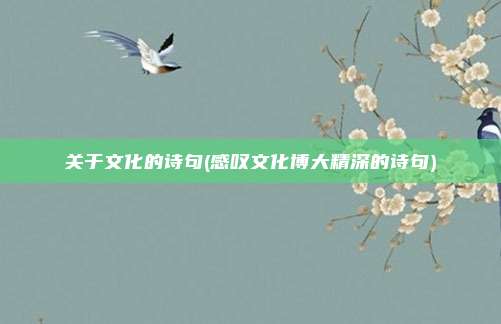 关于文化的诗句(感叹文化博大精深的诗句)