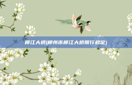 柳江大桥(柳州市柳江大桥限行规定)