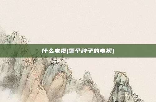 什么电视(哪个牌子的电视)