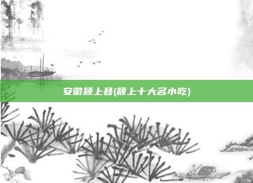 安徽颍上县(颍上十大名小吃)