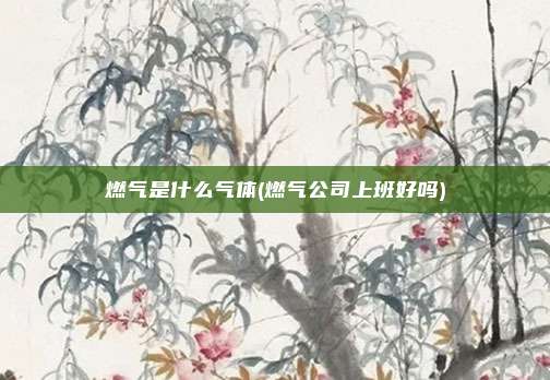燃气是什么气体(燃气公司上班好吗)